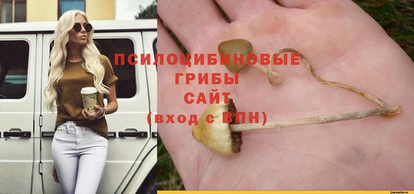 эйфоретик Гусев