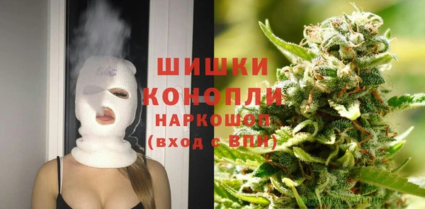 эйфоретик Гусев