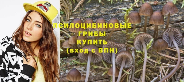 эйфоретик Гусев