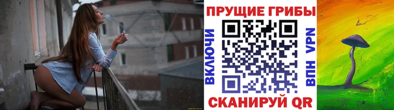 Галлюциногенные грибы мухоморы  Купить где  Томмот 